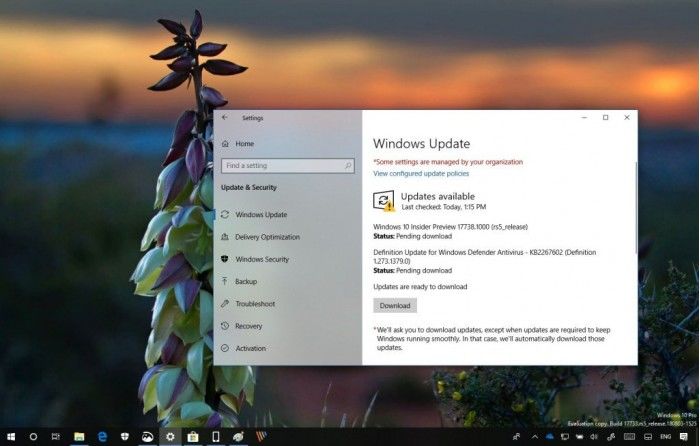 Fast通道迎Windows 10 Build 17738版本更新
