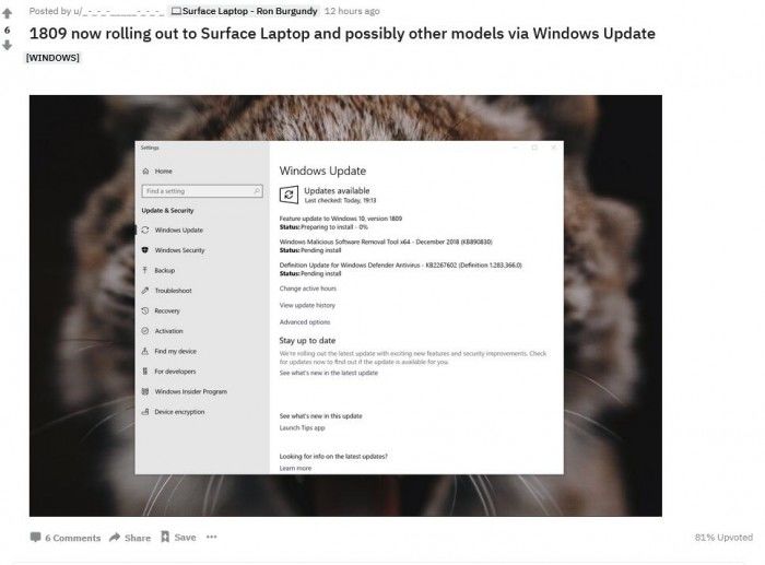 微软支持文档：现可更新升级Windows 10十月更新
